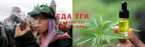 гашик Костерёво