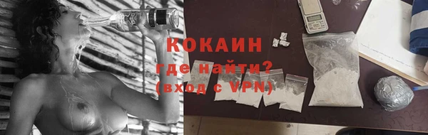 гашик Костерёво