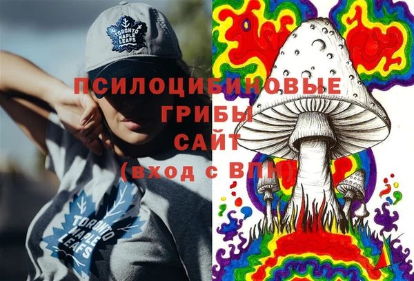 ГАЛЛЮЦИНОГЕННЫЕ ГРИБЫ Корсаков