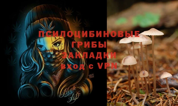 гашик Костерёво