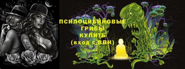 гашик Костерёво