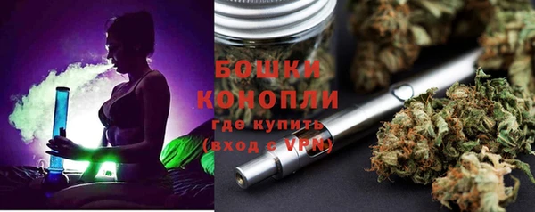 ГАЛЛЮЦИНОГЕННЫЕ ГРИБЫ Корсаков