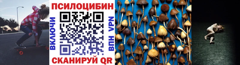 Купить закладки  Монино  Псилоцибиновые грибы Magic Shrooms 